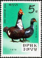 (1979-099) Марка Северная Корея "Мускусная утка"   Зоопарк в Пхеньяне III Θ